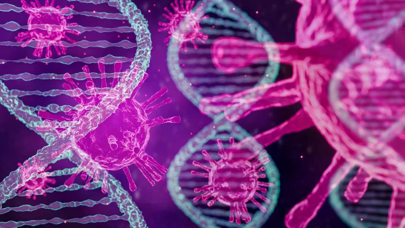 Phát hiện mới về virus bạch cầu và tiềm năng điều trị HIV