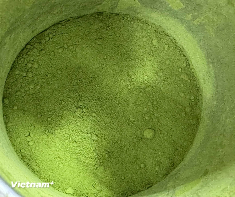 Chúng ta đang uống nhiều Matcha đến mức nguồn cung sắp cạn kiệt
