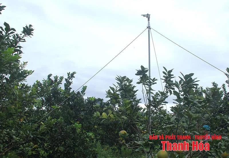 Mô hình kinh tế kiểu mẫu ở xã Như Thanh