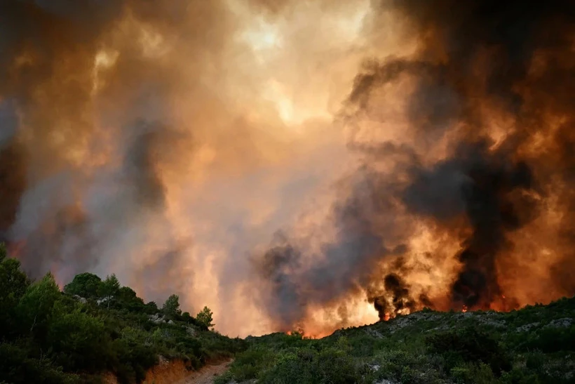 Cháy rừng thiêu rụi hơn 16.000ha ở miền Nam nước Pháp