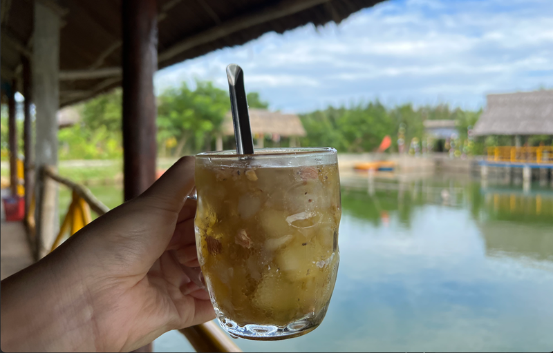 Kinh nghiệm đi rừng dừa Bảy Mẫu Hội An trong ngày chi tiết nhất