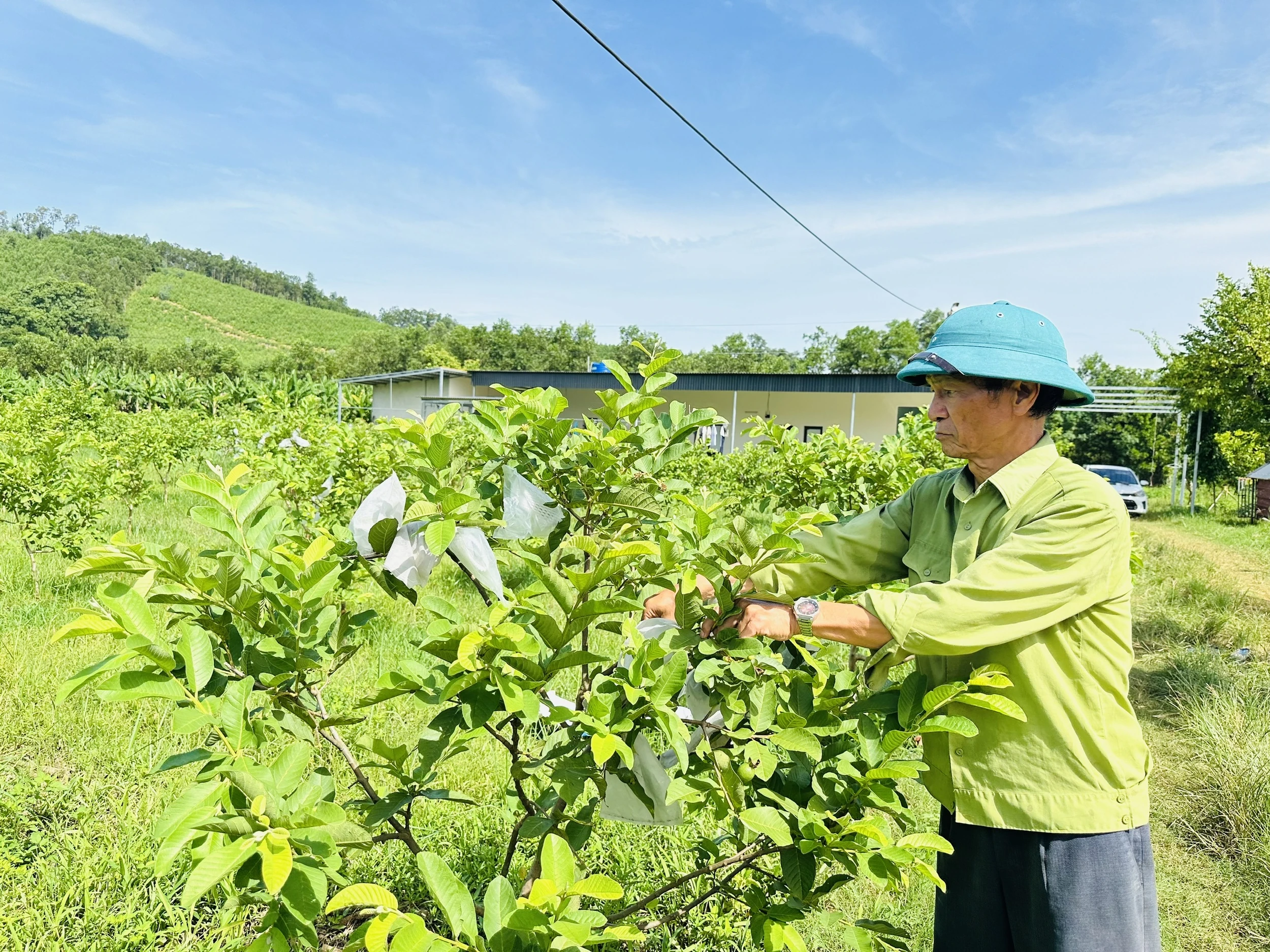 Xã Nông Cống: Nhiệm kỳ mới, niềm tin, động lực, khát vọng lớn