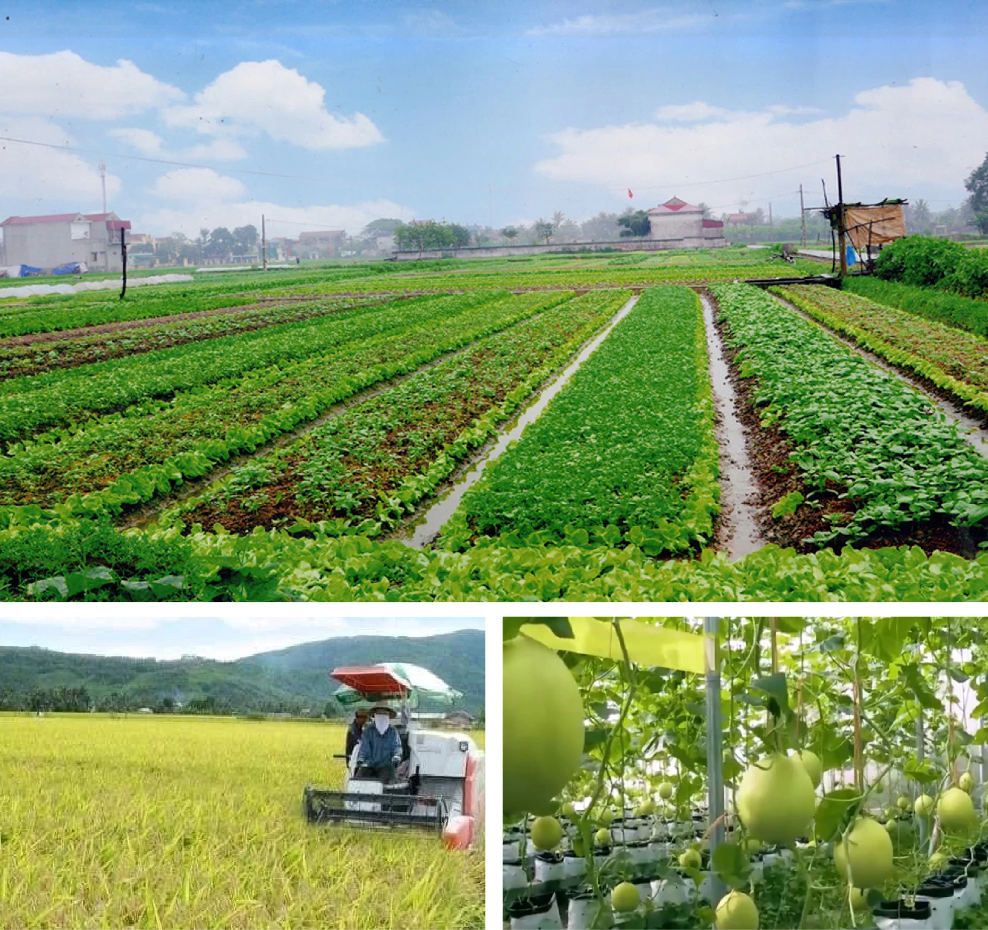 Xã Nông Cống: Nhiệm kỳ mới, niềm tin, động lực, khát vọng lớn