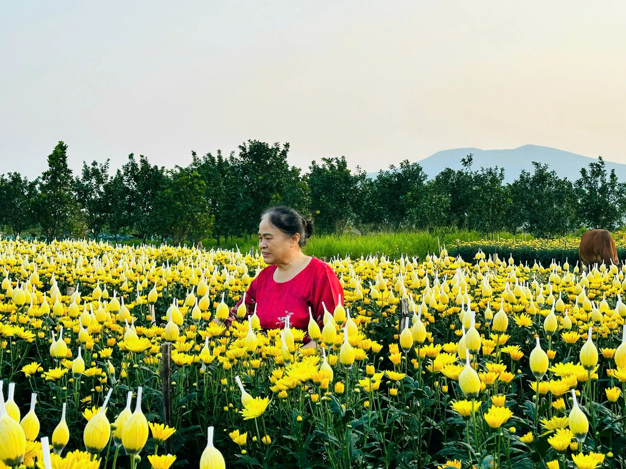 Xã Nông Cống: Nhiệm kỳ mới, niềm tin, động lực, khát vọng lớn