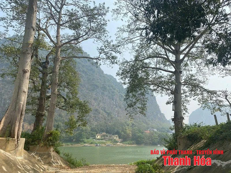 Trên đất Cẩm Phong