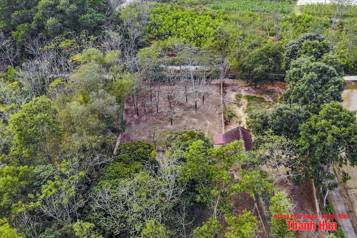 Bất cập tại trại nuôi nhốt hổ ở Xuân Tín