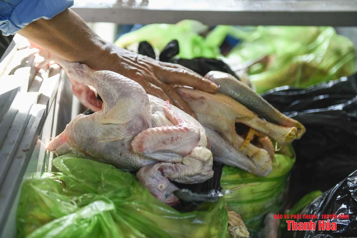 Bất cập tại trại nuôi nhốt hổ ở Xuân Tín