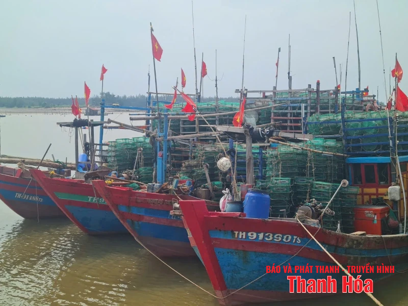 6.537 phương tiện tàu thuyền đã vào nơi tránh, trú an toàn