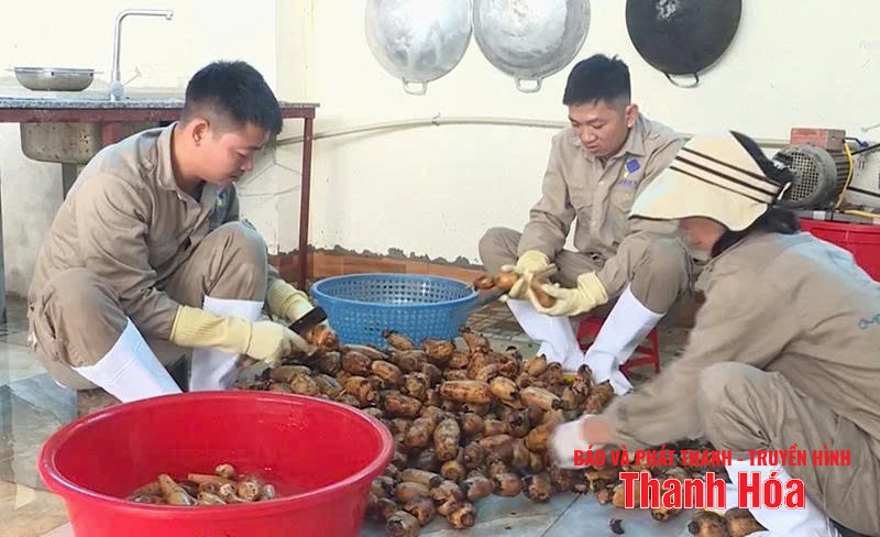 Đẩy mạnh chế biến sâu để nâng cao giá trị nông sản