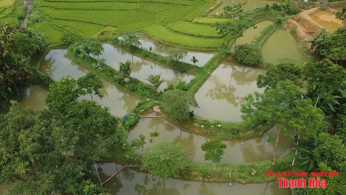 Trại cá Dầm xanh bên suối Pượn