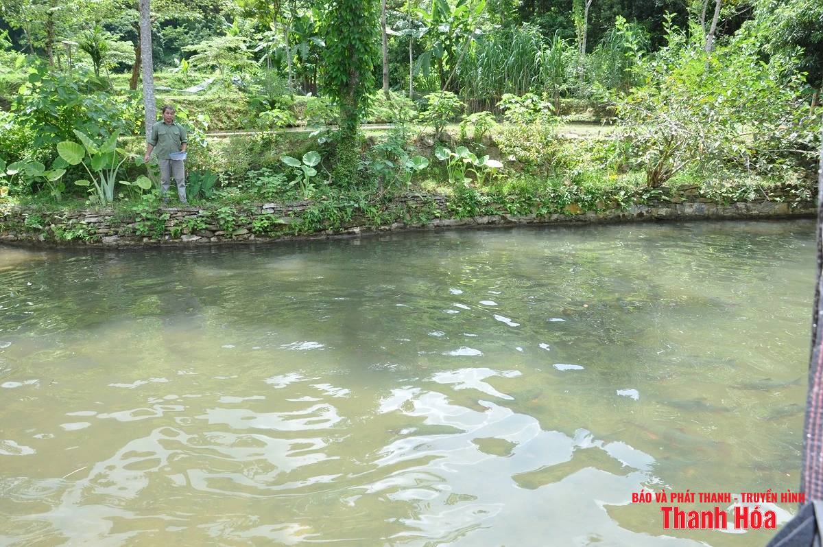 Trại cá Dầm xanh bên suối Pượn