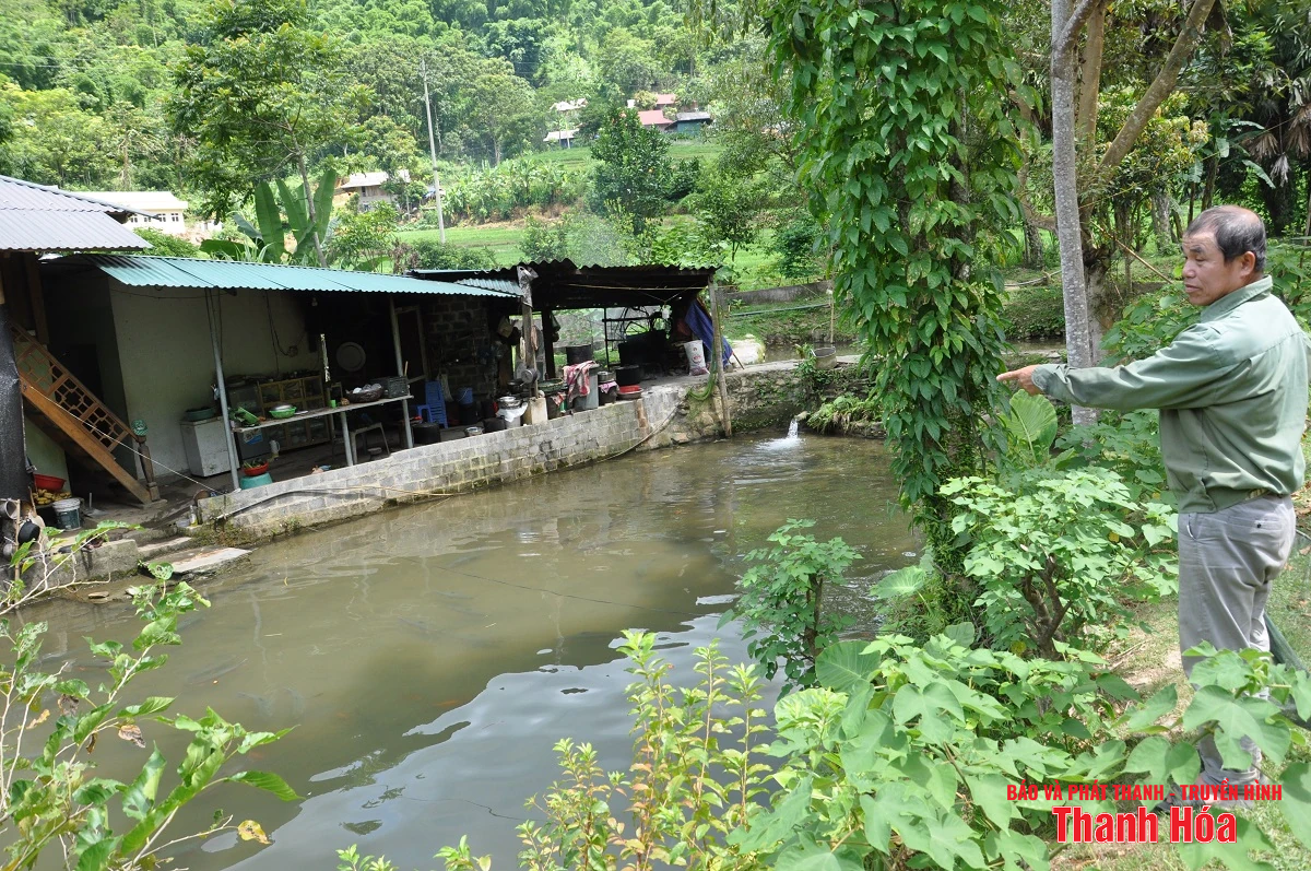 Trại cá Dầm xanh bên suối Pượn