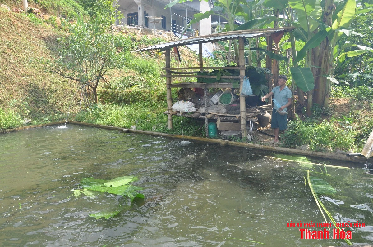 Trại cá Dầm xanh bên suối Pượn