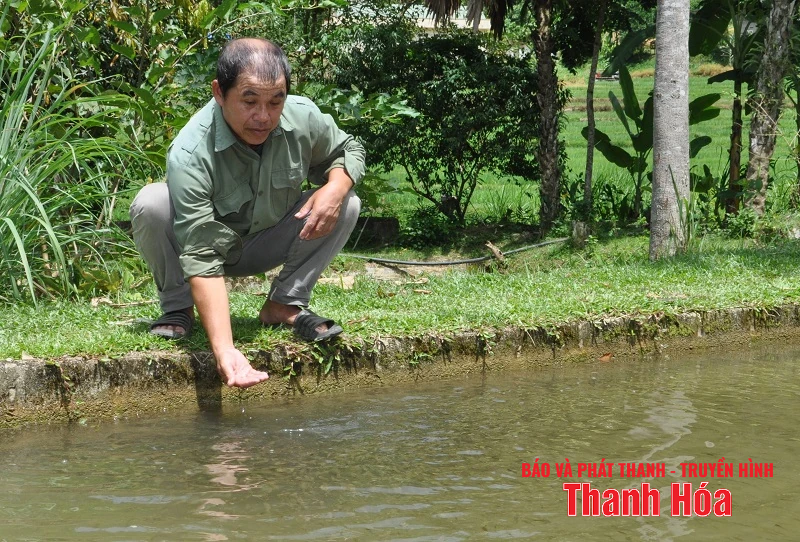 Trại cá Dầm xanh bên suối Pượn