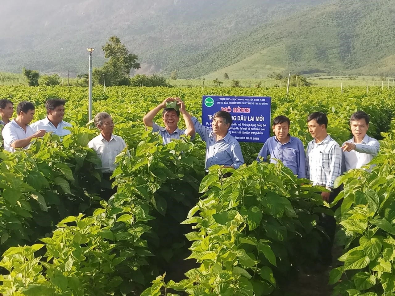 Top 5 cây trồng mang lại giá trị kinh tế cao tại tỉnh Khánh Hòa