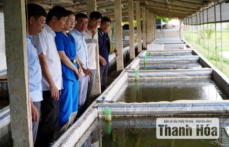 Ra mắt Chi Hội nông dân nghề nghiệp và giải ngân nguồn Quỹ Hỗ trợ nông dân