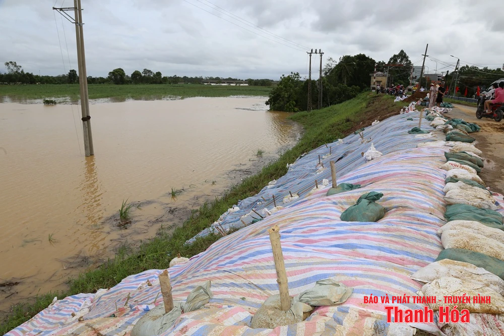 Phó Bí thư Thường trực Tỉnh ủy Lại Thế Nguyên kiểm tra các điểm đê xung yếu và trạm bơm