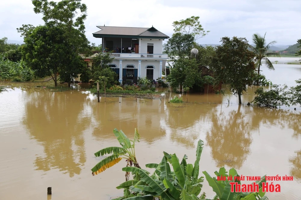 Phó Bí thư Thường trực Tỉnh ủy Lại Thế Nguyên kiểm tra các điểm đê xung yếu và trạm bơm
