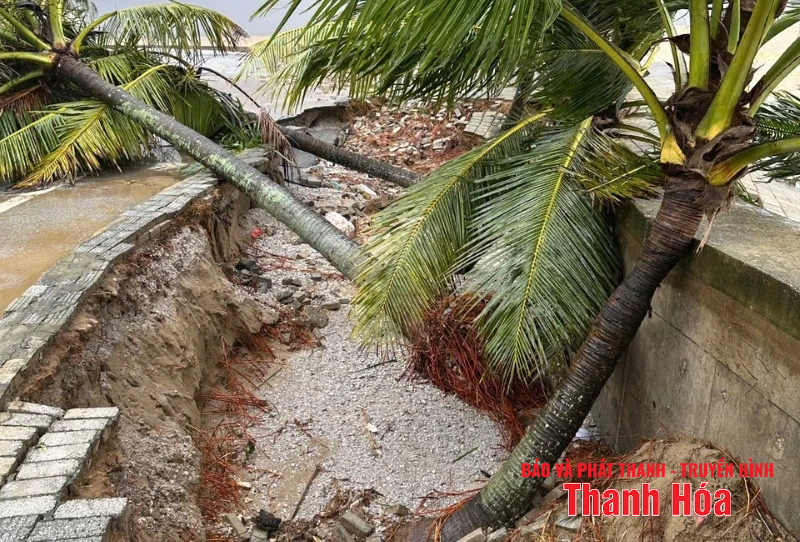Sụt lún đê kè biển Hải Tiến