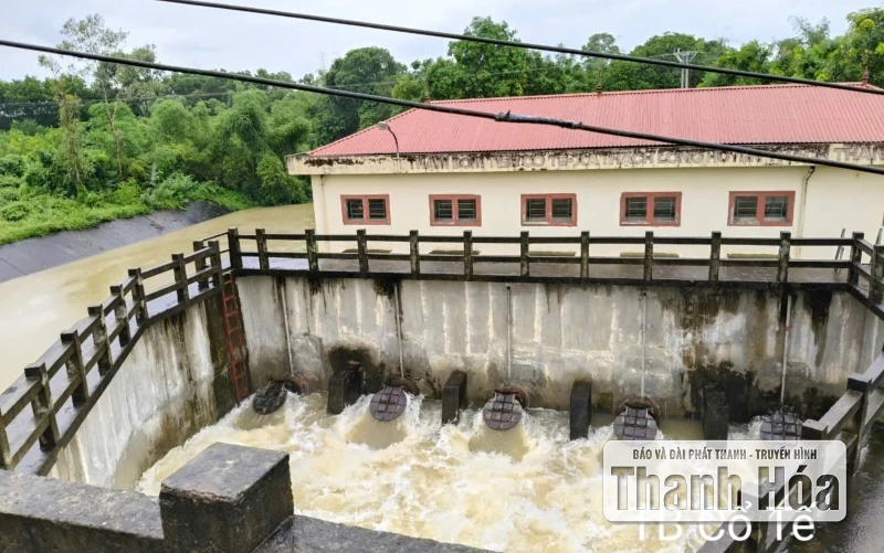 Vận hành 60 trạm bơm tiêu úng bảo vệ sản xuất nông nghiệp