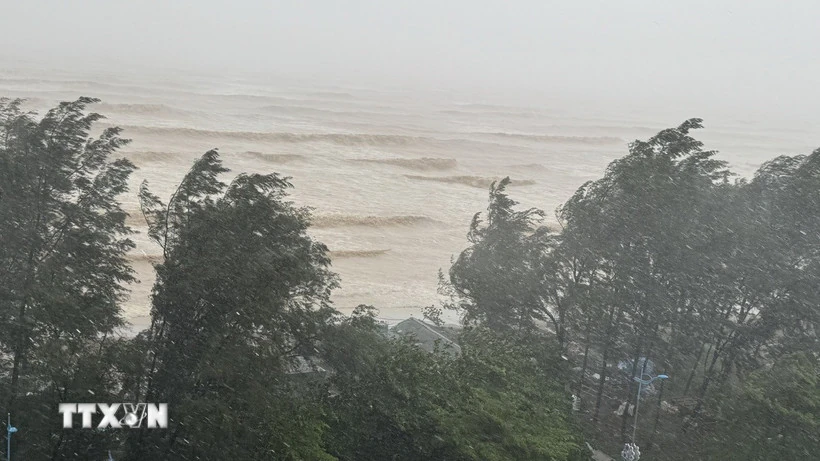 Tiến sỹ Mai Văn Khiêm: Bão số 5 rất nguy hiểm, hội tụ nhiều yếu tố rủi ro cao