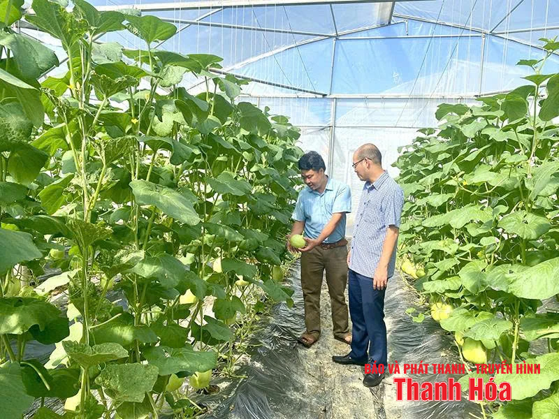 Quan tâm tái chứng nhận sản phẩm OCOP