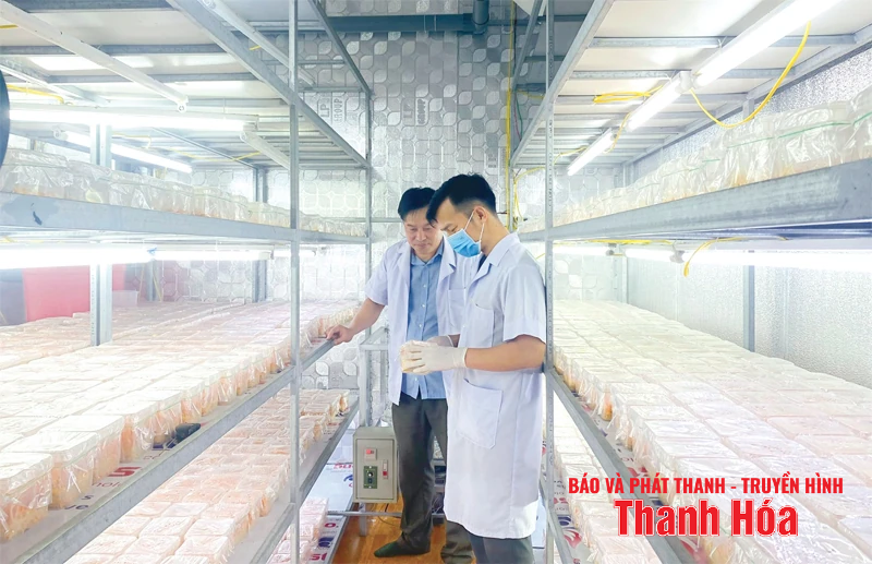 Quan tâm tái chứng nhận sản phẩm OCOP