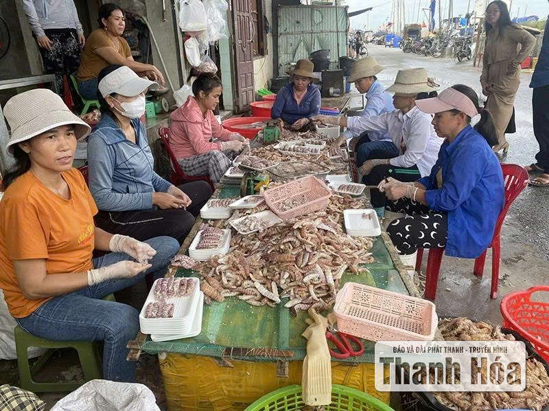 Vạn Lộc phát triển dịch vụ hậu cần nghề cá