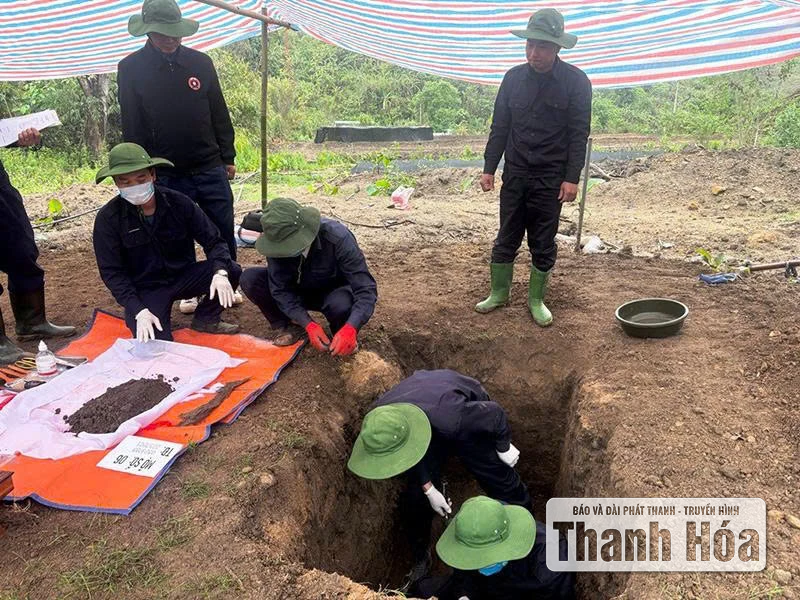 Mệnh lệnh từ trái tim