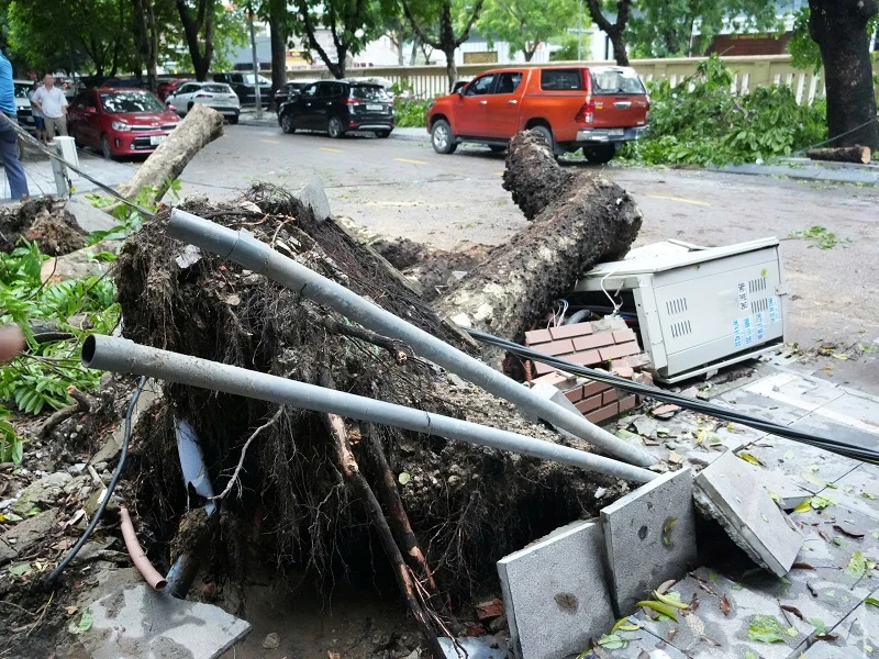 Huy động toàn lực khắc phục thiệt hại, sớm cấp điện trở lại cho khách hàng