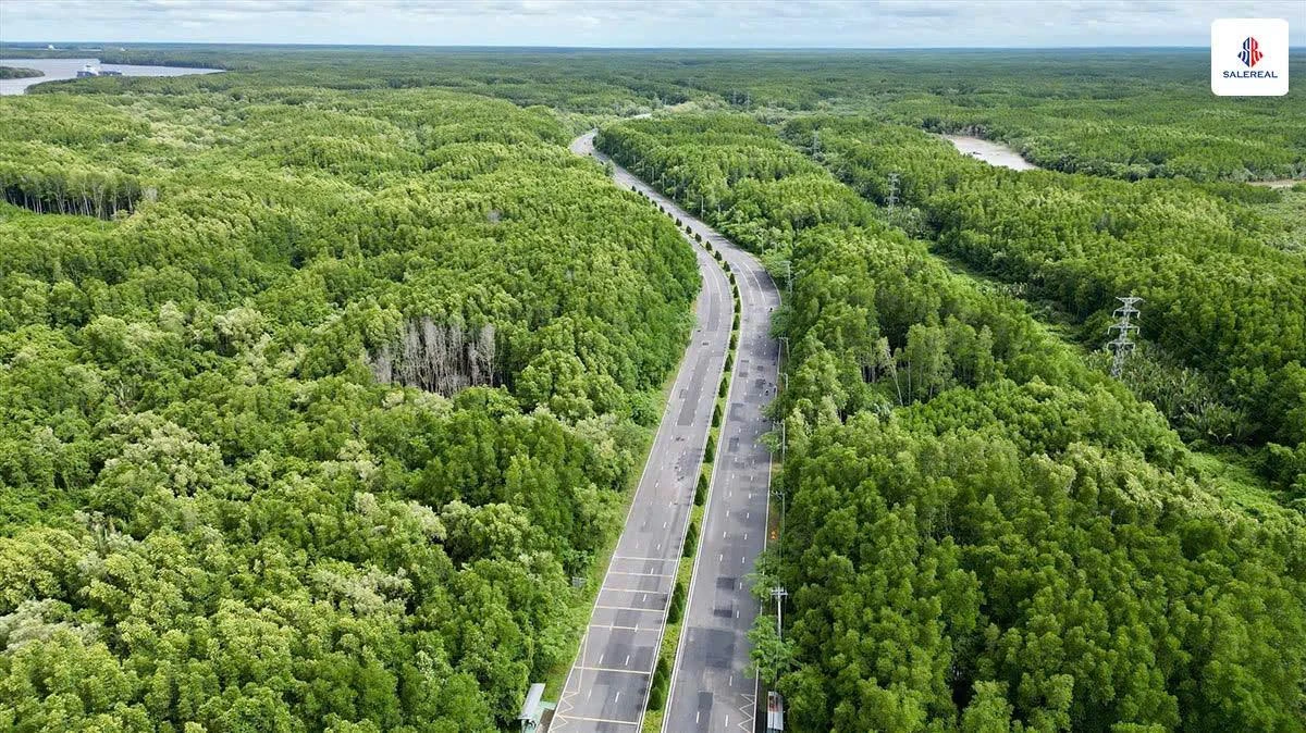 Có nên mua biệt thự đơn lập Vinhomes Green Paradise Cần Giờ 2025?