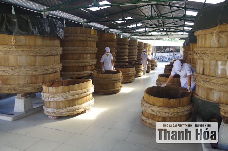 Hải đoàn 128 tổ chức các hoạt động hướng tới ngày hội non sông