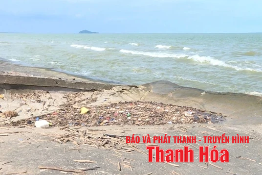 Nhiều đê biển trong khu vực bão số 5 đổ bộ có nguy cơ bị tràn