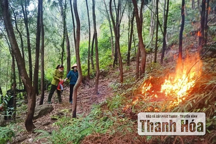 Tăng cường thực hiện nhiệm vụ, giải pháp bảo vệ rừng và phòng cháy, chữa cháy rừng