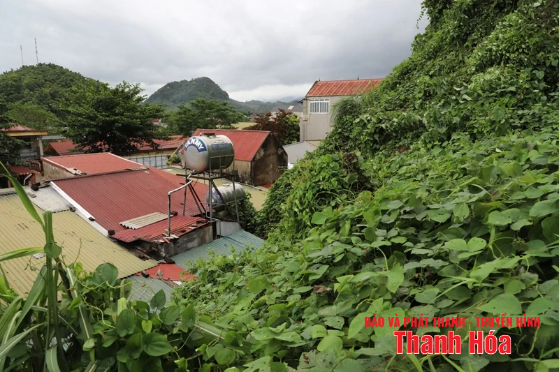 Khẩn trương xử lý sự cố sạt lở đồi Phòng Không