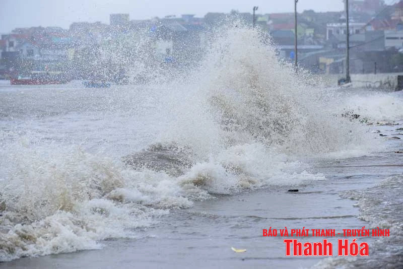Sóng cao, cây gãy đổ hàng loạt do bão số 5