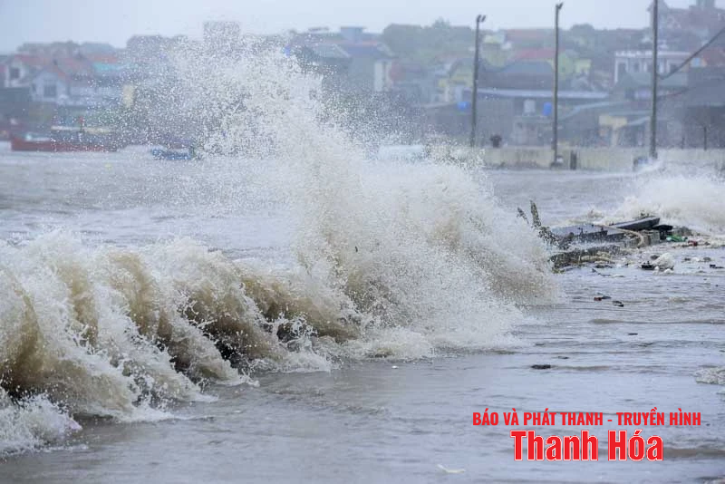 Sóng cao, cây gãy đổ hàng loạt do bão số 5