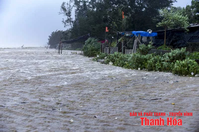 Sóng cao, cây gãy đổ hàng loạt do bão số 5