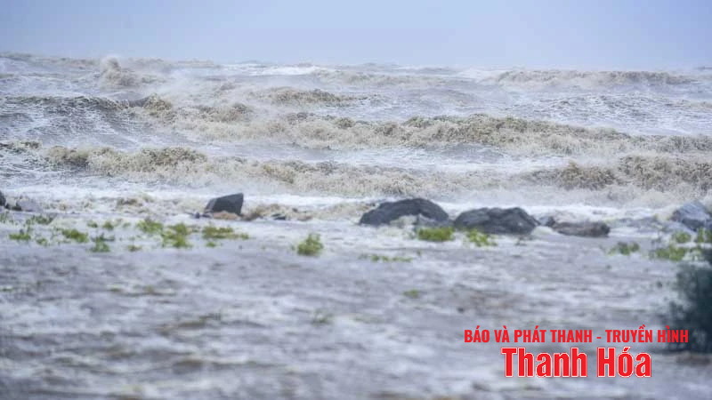 Sóng cao, cây gãy đổ hàng loạt do bão số 5