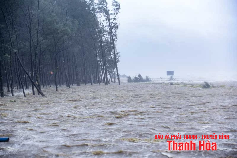 Sóng cao, cây gãy đổ hàng loạt do bão số 5