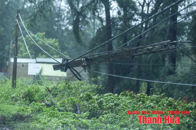 Sóng cao, cây gãy đổ hàng loạt do bão số 5