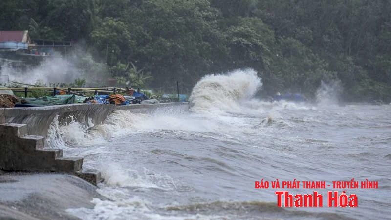 Sóng cao, cây gãy đổ hàng loạt do bão số 5