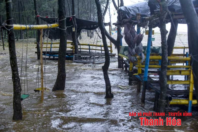 Sóng cao, cây gãy đổ hàng loạt do bão số 5