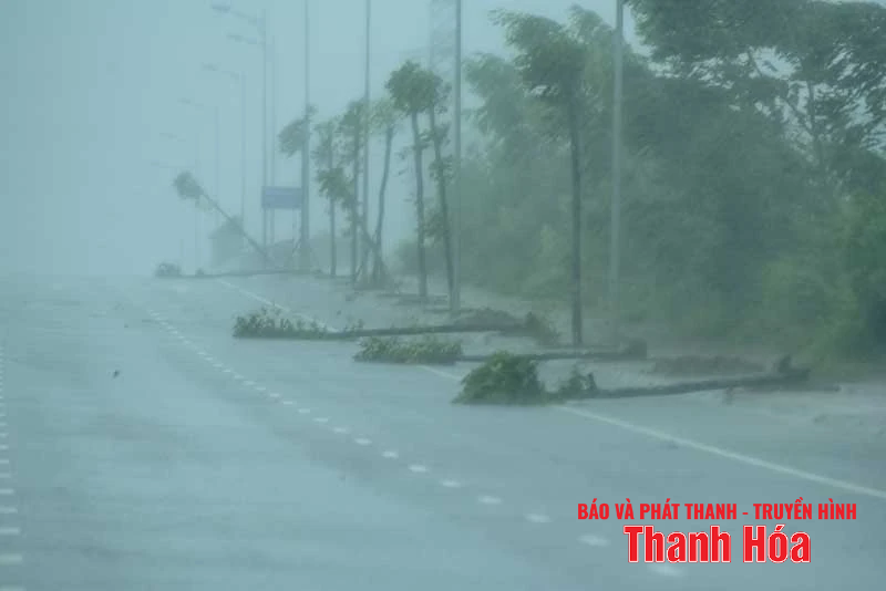 Sóng cao, cây gãy đổ hàng loạt do bão số 5