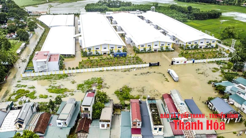 Nước lũ lên nhanh khiến cuộc sống nhiều hộ dân xã Thường Xuân bị đảo lộn