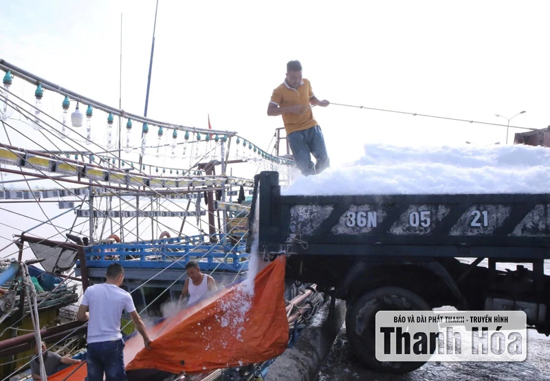 Giải “bài toán” thiếu lao động nghề biển