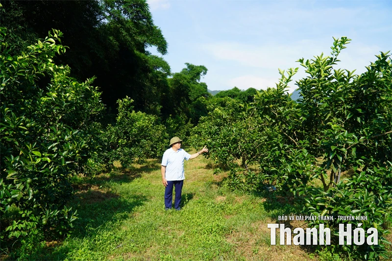 Người lan tỏa phong trào tích tụ tập trung đất đai