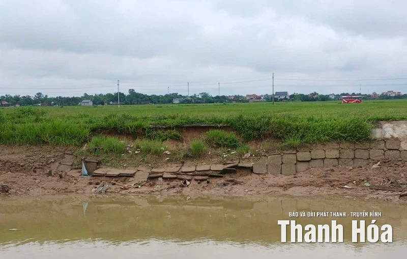 Xuất hiện nhiều điểm sạt, vỡ kênh mương, cống tiêu