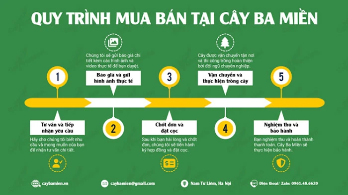 Cây Ba Miền: Dẫn đầu hành trình xanh, kiến tạo cảnh quan bền vững cho mọi công trình