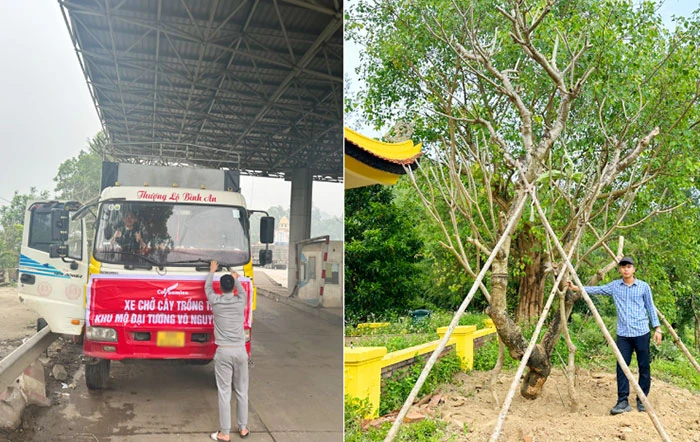 Cây Ba Miền: Dẫn đầu hành trình xanh, kiến tạo cảnh quan bền vững cho mọi công trình